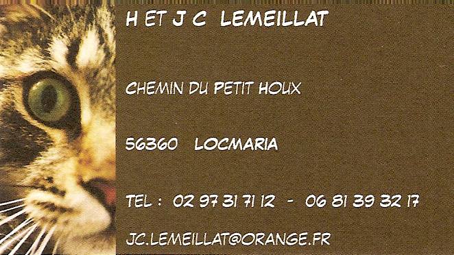 carte visite